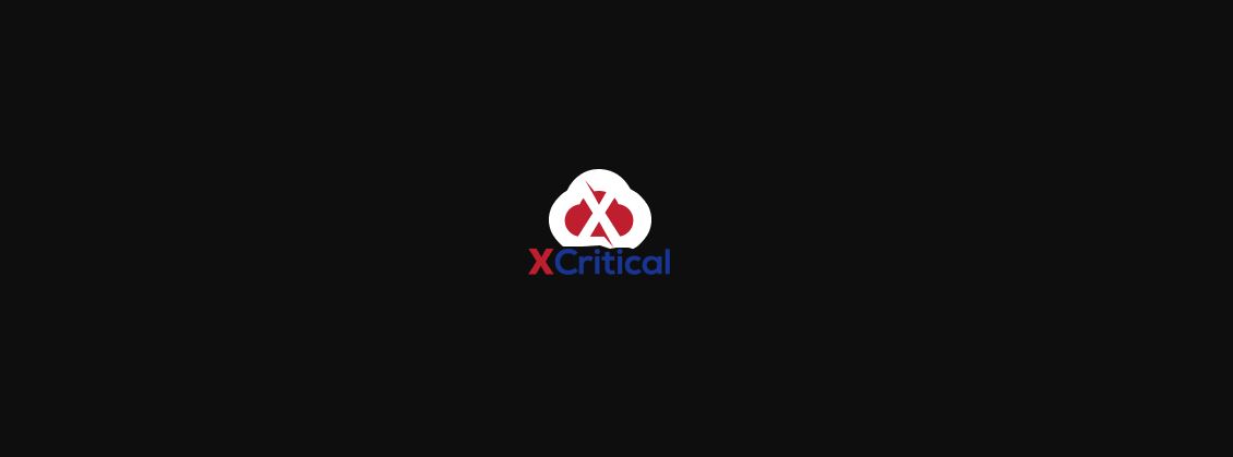 XCritical логотип