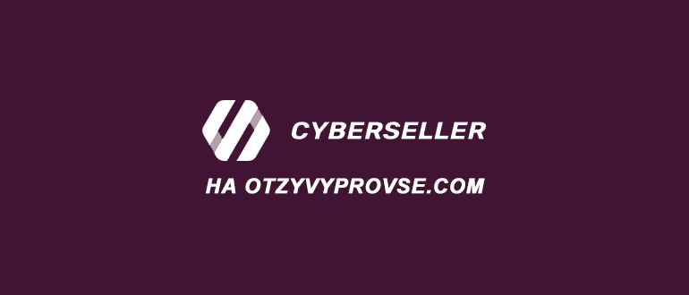 Франшиза CyberSeller - лого