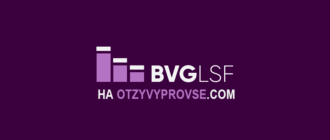 BVglsf - лого