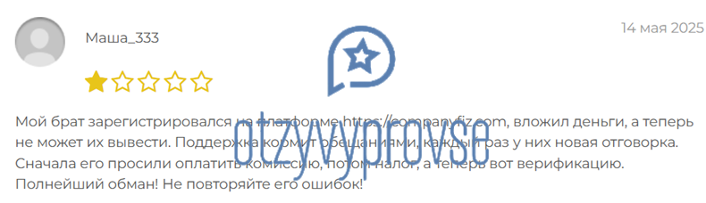CompanyFIZ - отзыв 1