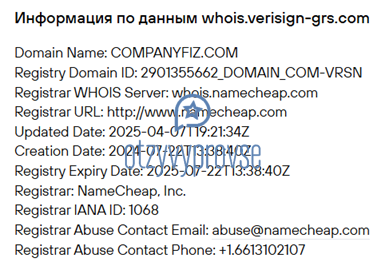 CompanyFIZ - возраст домена