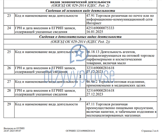 Франшиза Market Master - выписка из налоговой продолжение