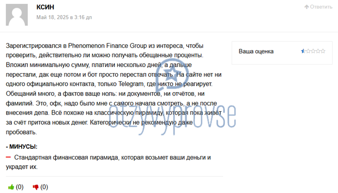 Phenomenon Finance Group - отзыв 2