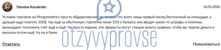 Morgan Metrics - отзыв 1