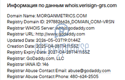 Morgan Metrics - возраст домена