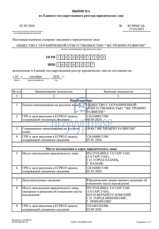 Франшиза ЭкстраБриз - выписка из налоговой