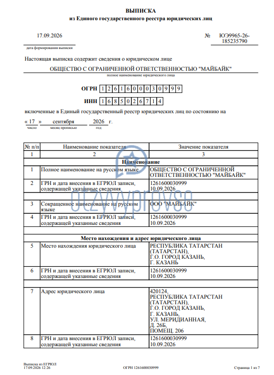 Франшиза МайБайк - выписка из налоговой